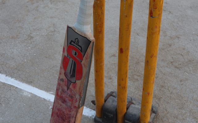 Cricket